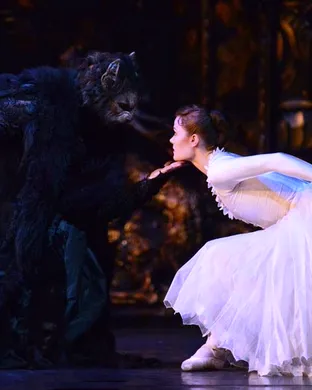 Beauty And The Beast - Ballet Collingswood