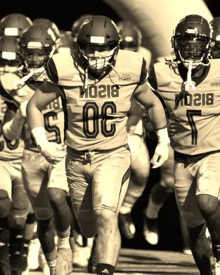 Bucknell Bison Lewisburg