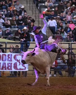 Bulls, Bands And Barrels Reading