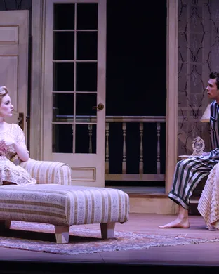 Cat On A Hot Tin Roof New Hope