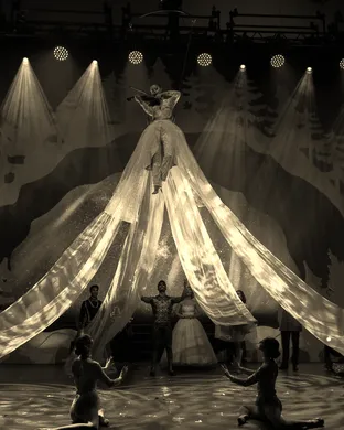 Cirque Musica Holiday Wonderland Reading