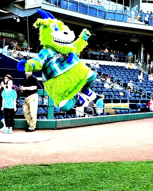 Hartford Yard Goats Reading