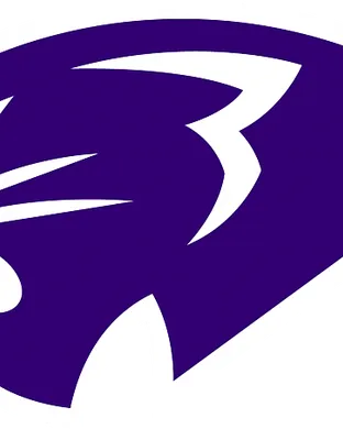 High Point Panthers High Point