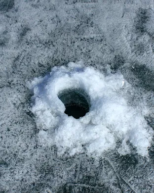 Hole Dweller Philadelphia