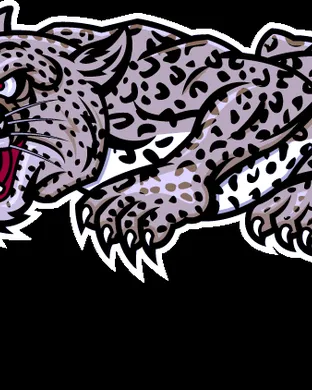 Lafayette Leopards Football Easton