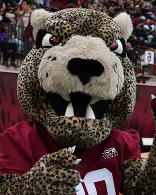 Lafayette Leopards Allentown
