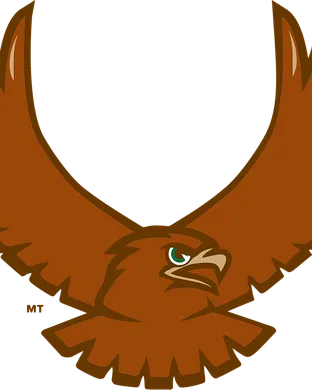 Lehigh Mountain Hawks Worcester