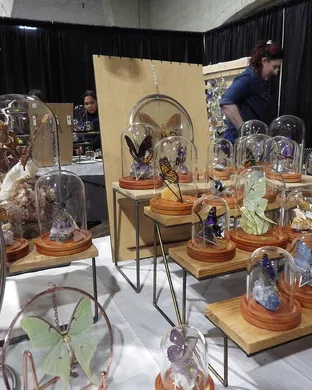 Oddities and Curiosities Expo Oaks