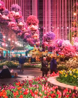 Philadelphia Flower Show Allentown