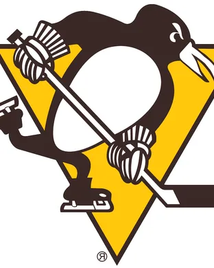 Pittsburgh Penguins Raleigh