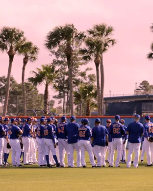 Spring Training West Palm Beach