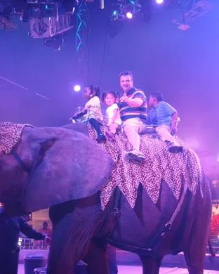 Universoul Circus Allentown